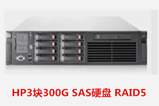 HP3块300G SAS硬盘 RAID5